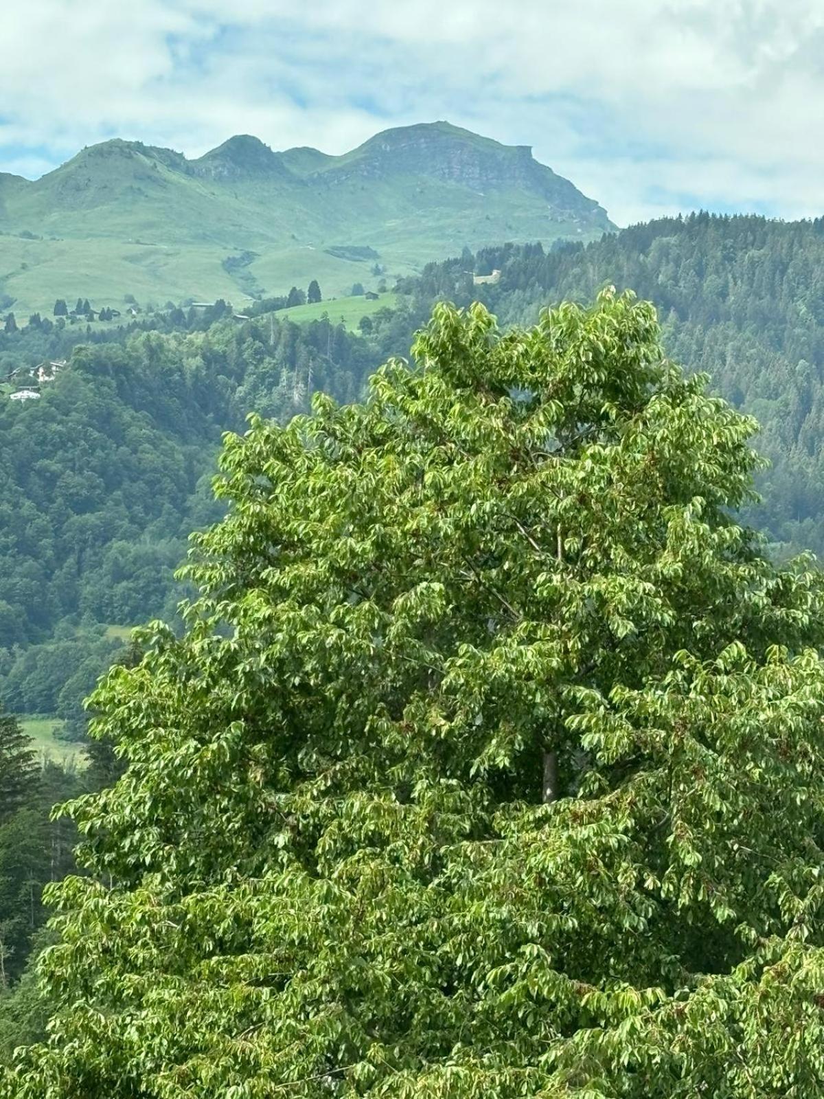 Landgasthof Zum Glenner Ilanz/Glion Buitenkant foto